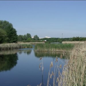 Course d'orientation