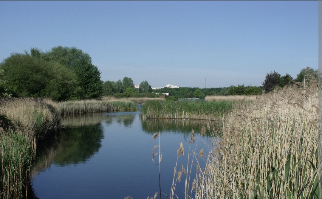 Course d'orientation